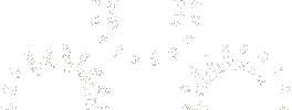 MCS+banner6